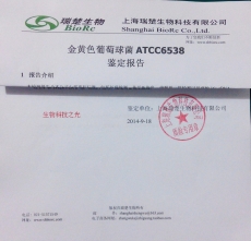 蜂房类芽孢杆菌 ATCC6344 冻干粉 包邮