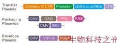 质粒载体 pGag/Pol pRev pVSV-G 慢病毒辅助载体 包邮