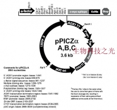 pPICZαC 质粒 毕赤酵母质粒 组氨酸标签 包邮
