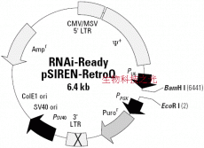 RNAi-Ready pSIREN-RetroQ  慢病毒干扰载体 包邮