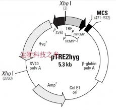 pTRE2 hygro 哺乳细胞表达；四环素调控载体 包邮