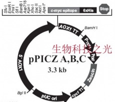 pPICZC质粒 毕赤酵母质粒 组氨酸标签 包邮
