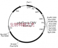 pAdTrack-CMV, pAdTrack CMV 腺病毒表达系统 包邮