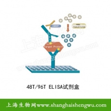 小鼠Ⅲ型前胶原肽(PⅢNP)ELISA检测试剂盒   48T 96T 包邮